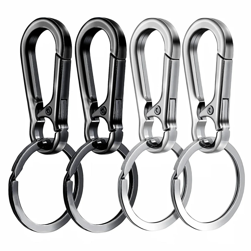 4Pcs Carabiner Keychain