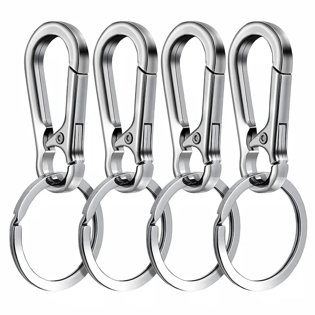 4Pcs Carabiner Keychain