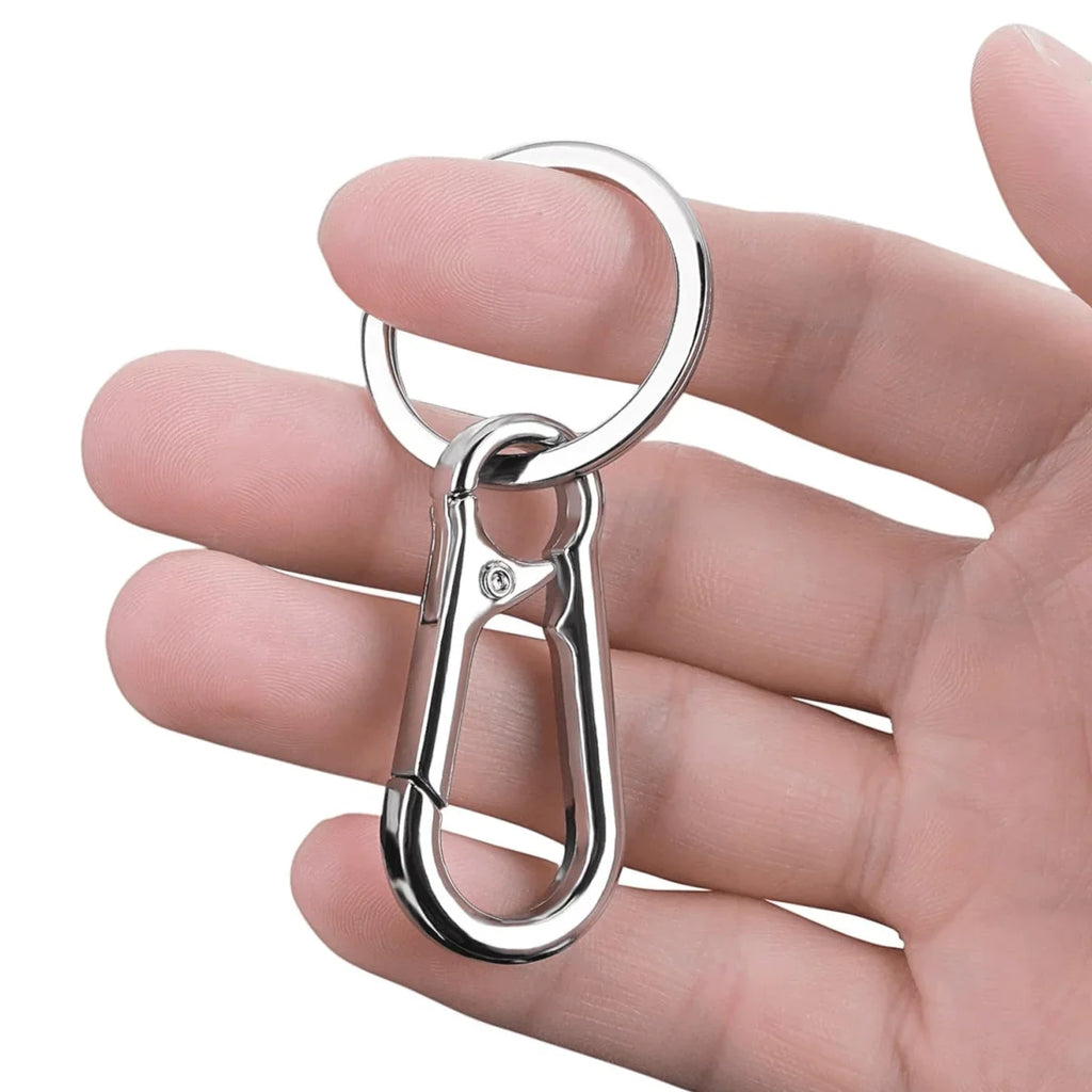 4Pcs Carabiner Keychain