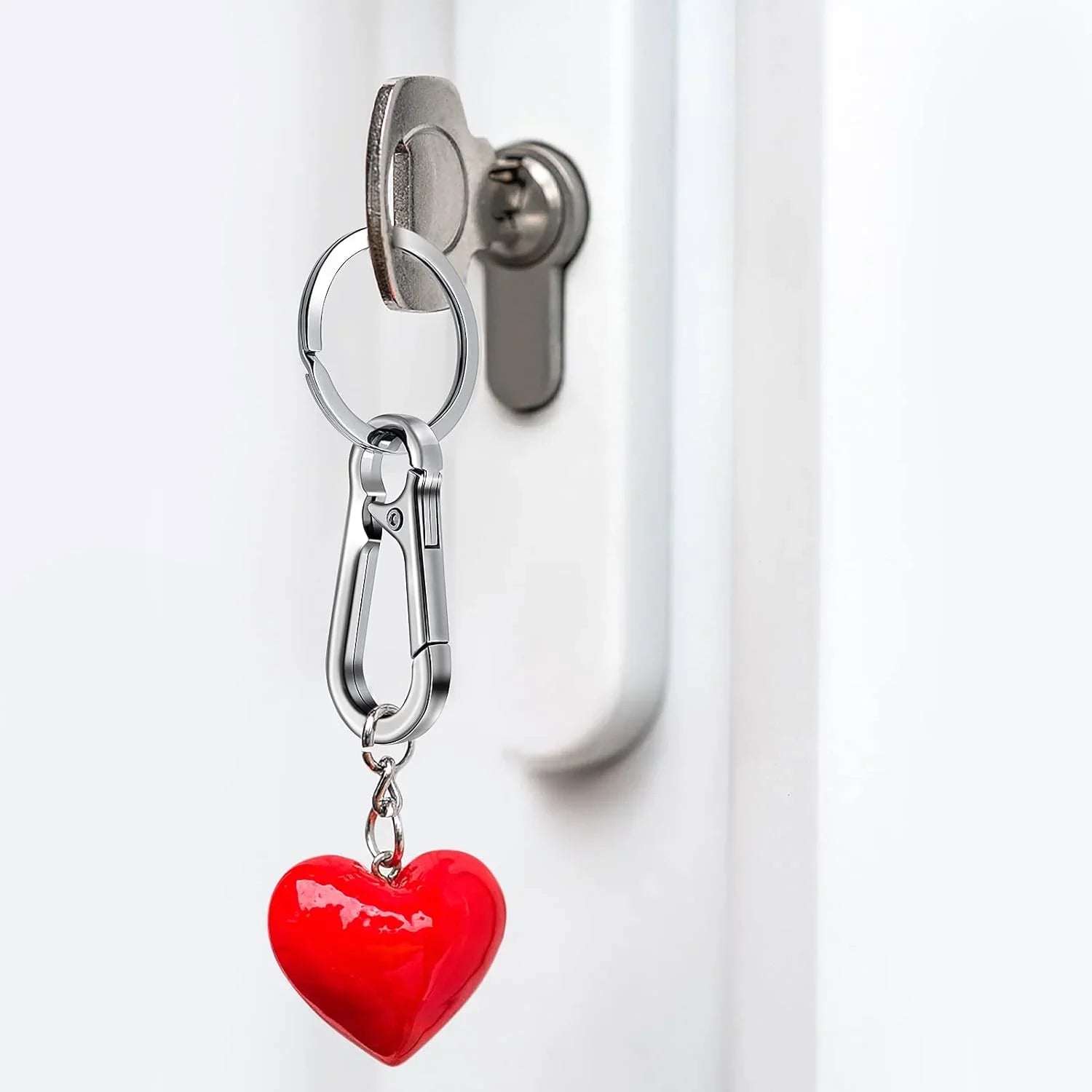 4Pcs Carabiner Keychain